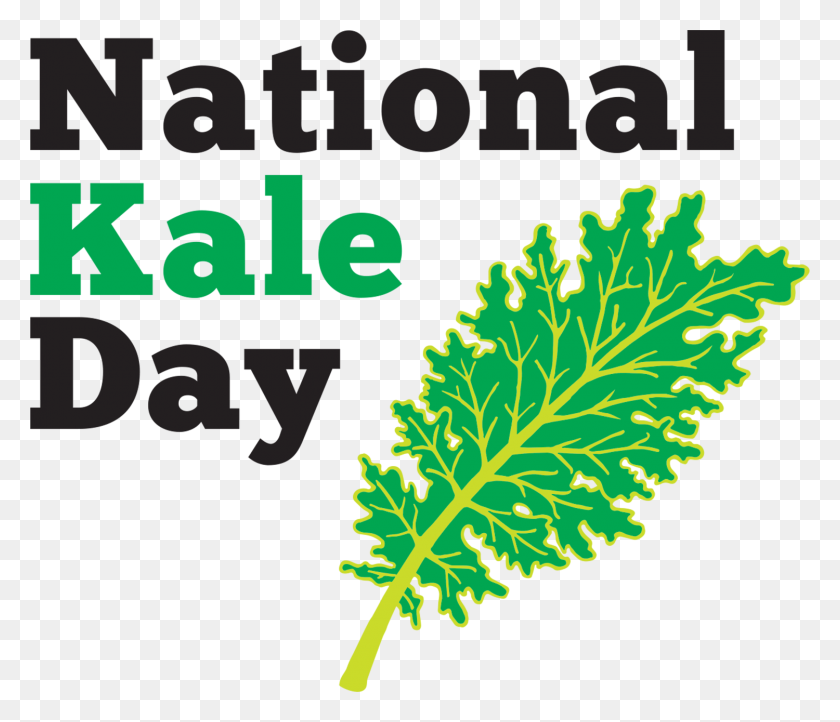1500x1274 Celebre El Día Nacional De La Col Rizada El Miércoles, Octubre Únase Al Equipo Kale Live - Kale Png