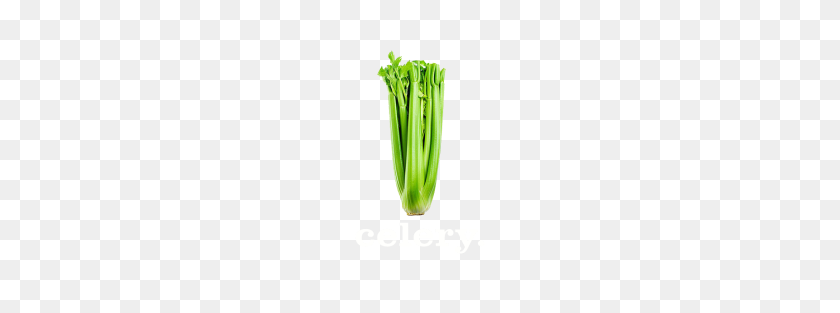 190x253 Celery - Celery PNG