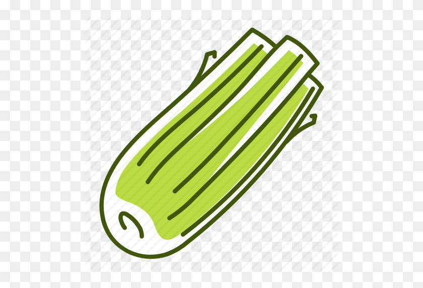 512x512 Celery, Food, Vegetable Icon - Celery PNG