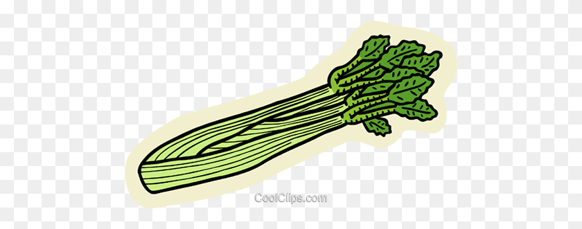 480x271 Celery Royalty Free Vector Clip Art Illustration - Fresh Produce Clipart