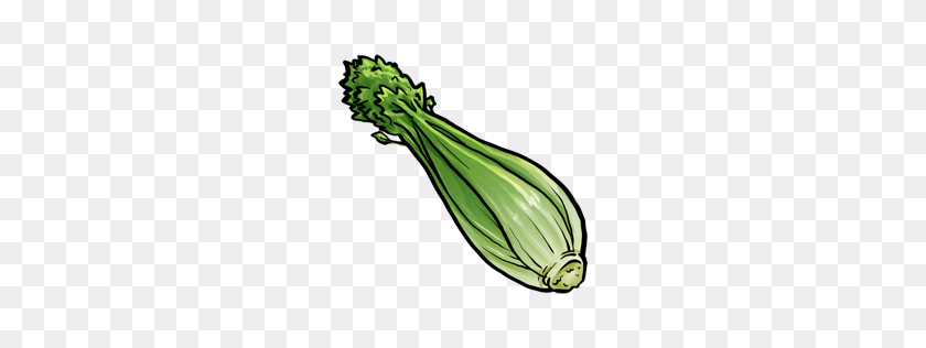 256x256 Celery,fruit,vegetable Pngicoicns Free Icon Download - Celery PNG
