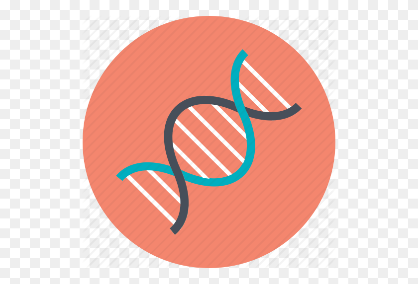 512x512 Cell, Dna, Dna Helix, Dna Strand, Genetic Icon - Dna Strand PNG