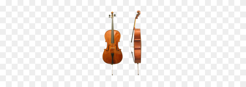 158x240 Cello Front Side - Cello PNG
