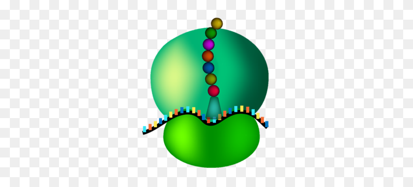 268x320 Cells - Ribosome Clipart