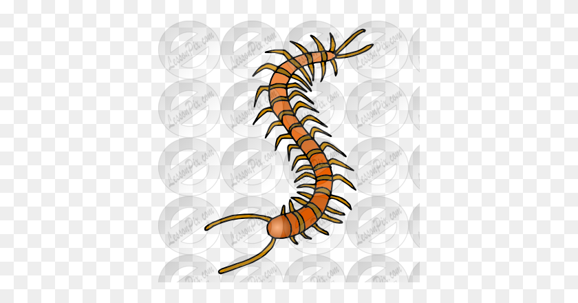 380x380 Centipede Clipart Orange - Cent Clipart
