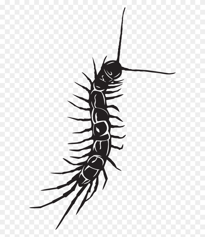 600x911 Centipede Decal - Centipede PNG