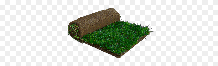 350x197 Central Sod Farms, Inc - Tall Grass PNG