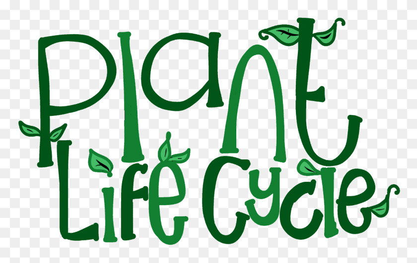1600x967 Centurytoday We - Plant Life Cycle Clipart