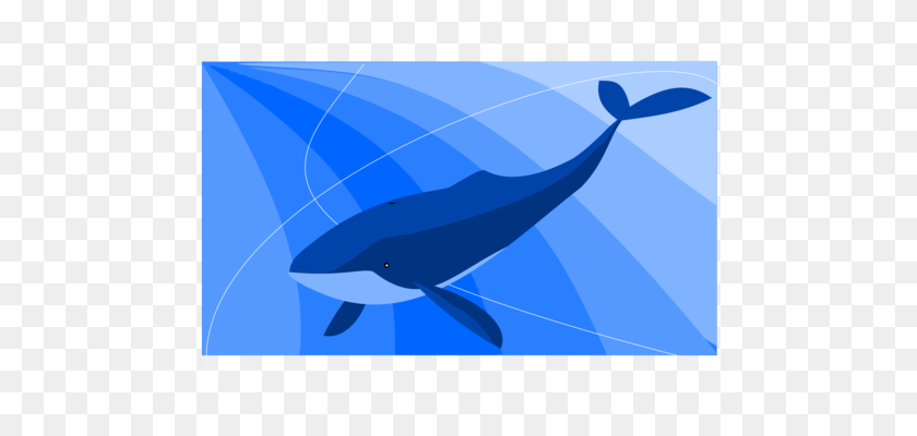 481x340 Cetacea Download Drawing Art Humpback Whale - Blue Whale Clipart