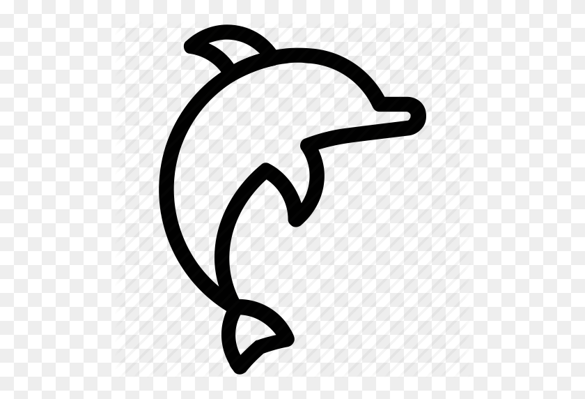 512x512 Cetacean, Dolphin, Dolphin Jumping, Fish, Mammal, Sea Animal Icon - Submarine Dolphins Clipart