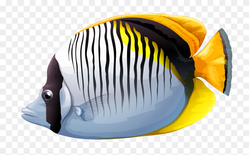 3000x1785 Chaetodon Fish Png Clipart Image - Sea PNG