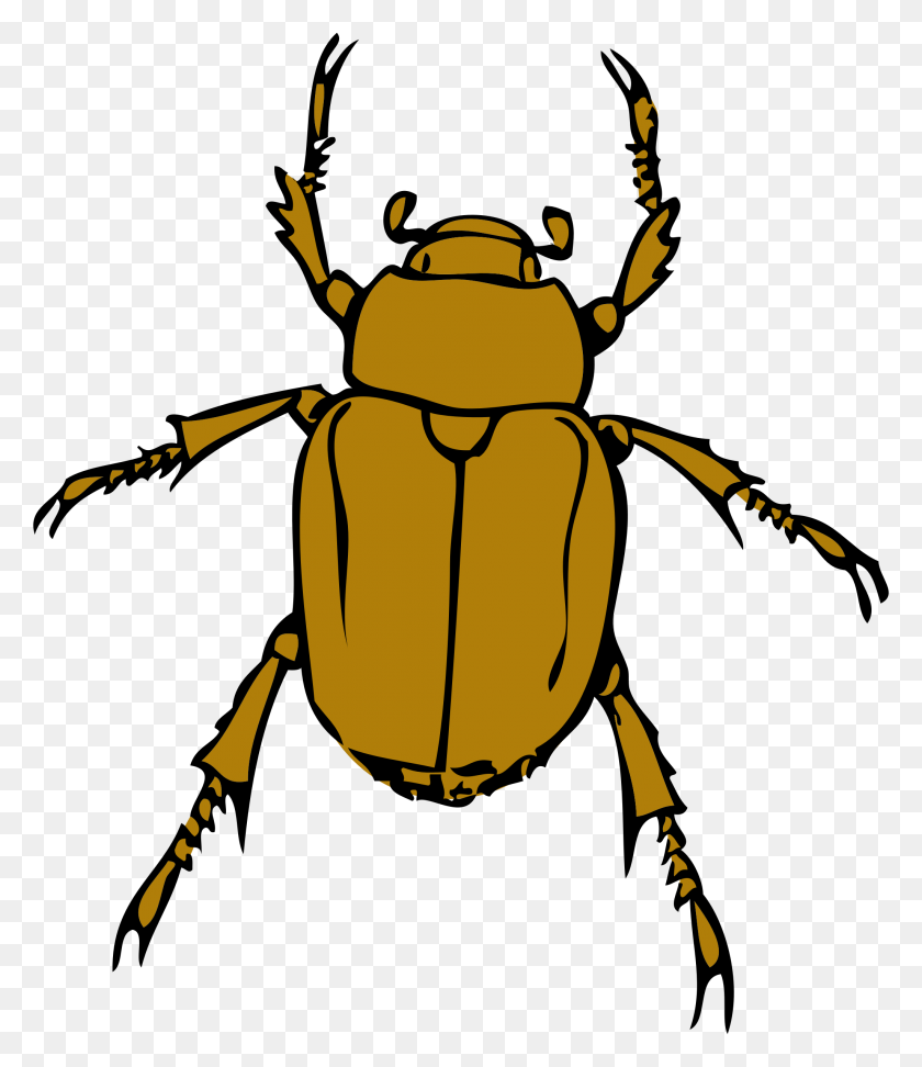 2052x2400 Chafer Bug Icons Png - Bugs PNG