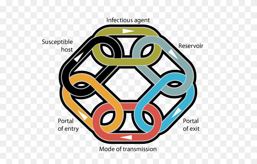 575x477 Chain Of Infection Rcn - Portal Clipart