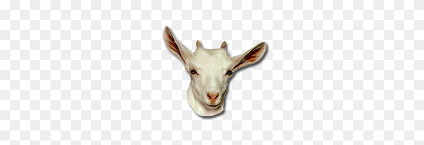 252x229 Challenge - Goat Head PNG