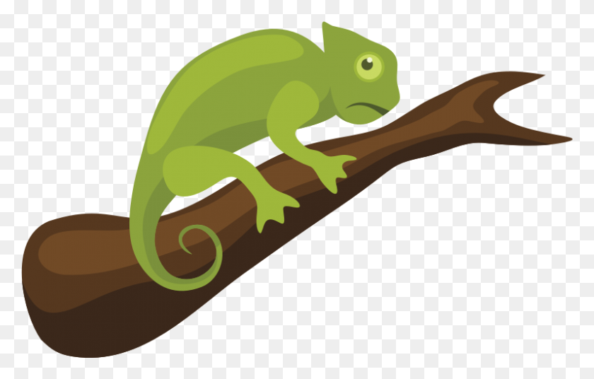 795x486 Chameleon Clipart Images Clip Art Images - Lizard Clipart