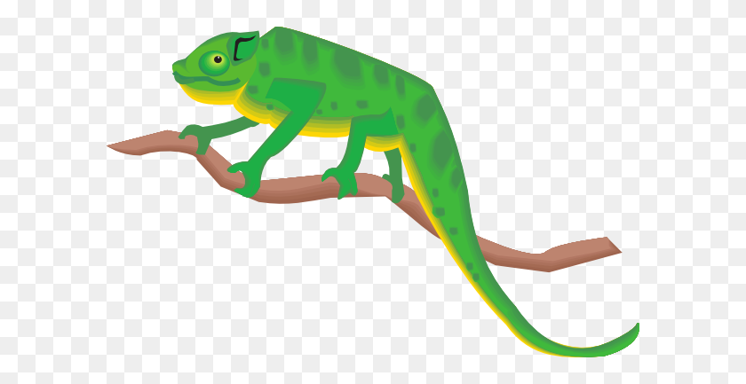600x373 Chameleon On A Branch Clip Arts Download - Tree Branch Clipart PNG
