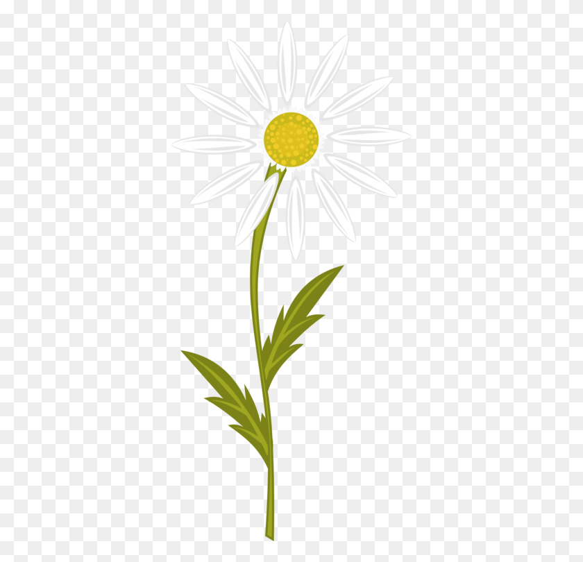 346x750 Chamomile Computer Icons Download Flower Drawing - Chamomile PNG