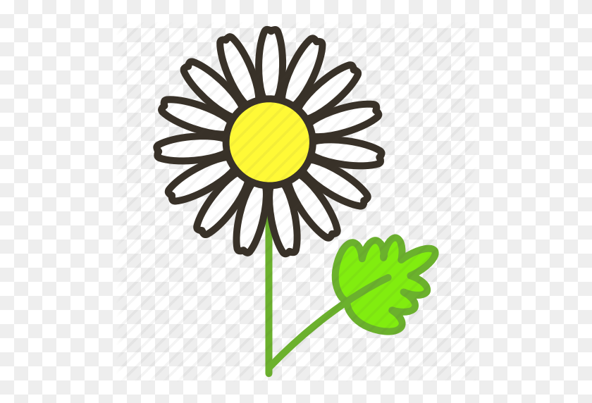 512x512 Chamomile, Ecology, Environment, Flower, Garden, Plant Icon - Chamomile PNG