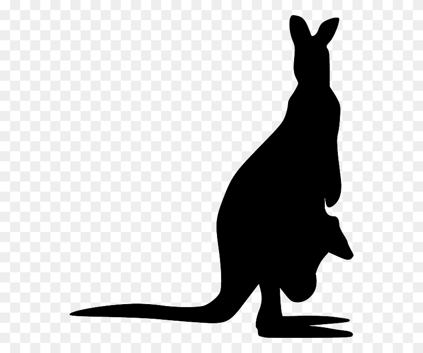 564x640 Characters Animal - Wallaby Clipart