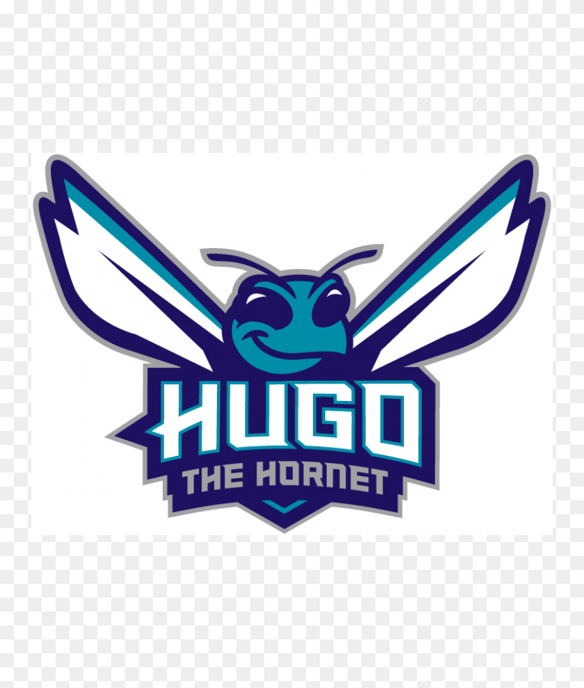 750x930 Charlotte Hornets Logos Iron Ons,iron On Transfers - Hornets Logo PNG