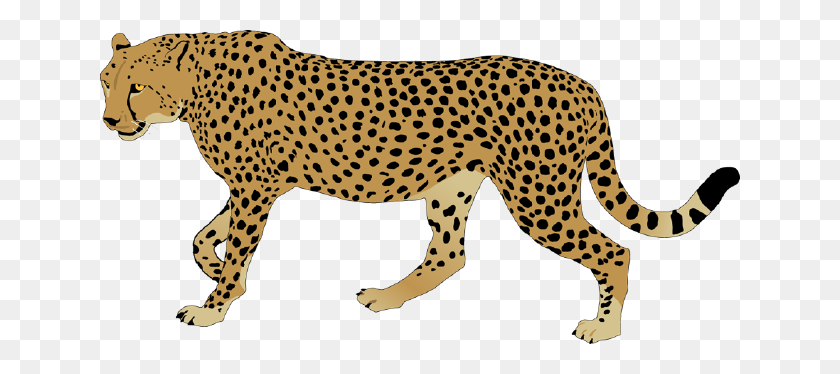 640x314 Cheetah Png Image Background Png Arts - Cheetah PNG