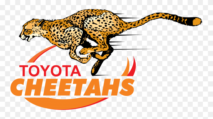 1200x629 Cheetahs Rugby Logo Transparent Png - Cheetah Clipart
