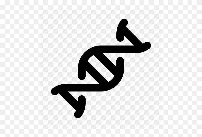 512x512 Химия, Хромосома, Днк, Двойная Спираль, Генетика, Геном - Двойная Спираль Png