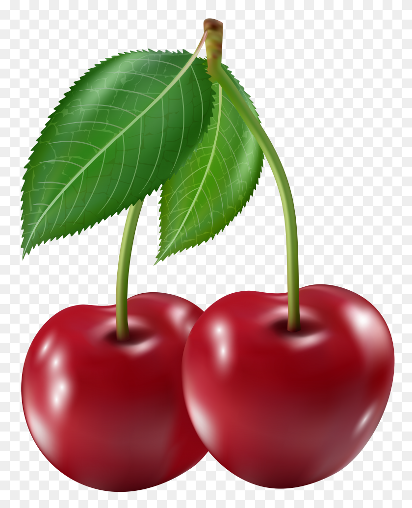 4795x6000 Cherries Clip Art Png - Cherries PNG