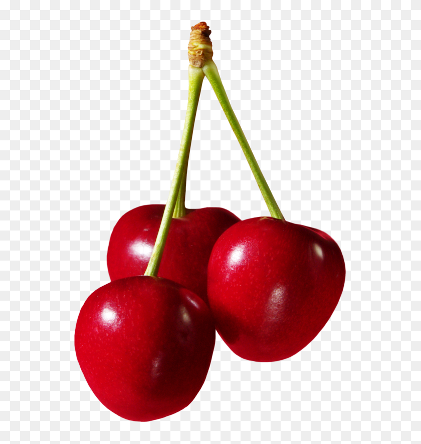 561x826 Cherries Fruit Png Clipart - Fruit PNG