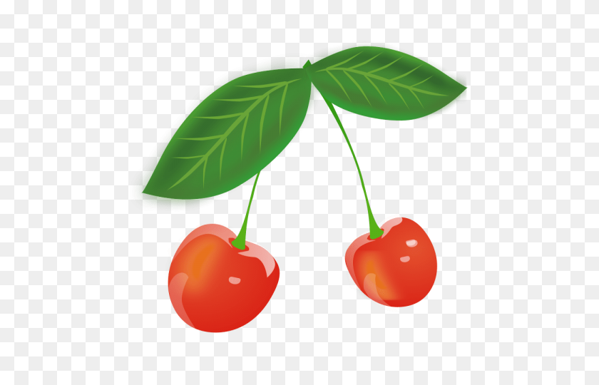 480x480 Cherries Png - Cherries PNG