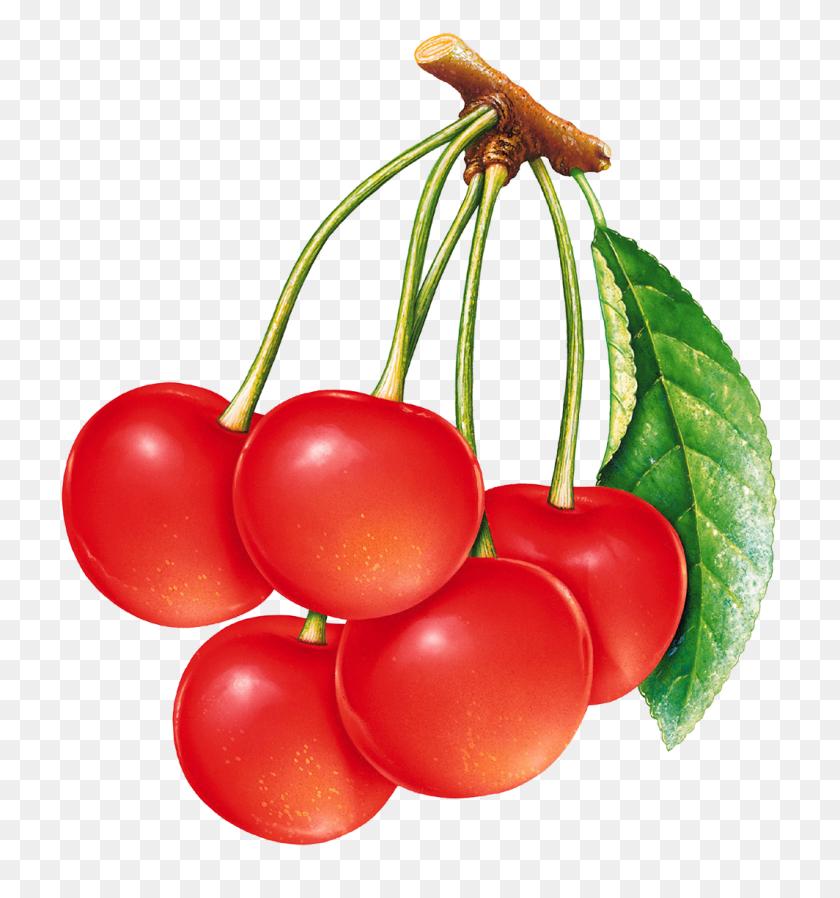 1064x1144 Cherries Png Image - Cherry PNG