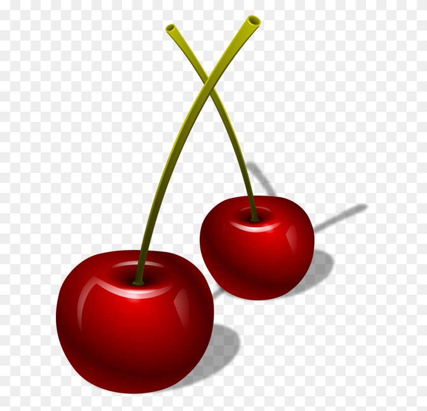 619x749 Cherry Berry Cerasus Computer Icons Food - Berries PNG