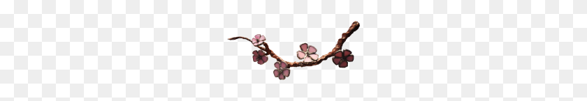 190x85 Cherry Blossom - Cherry Blossom PNG