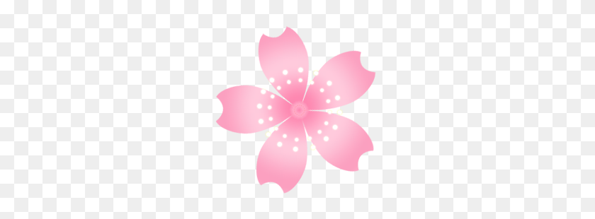 250x250 Cherry Blossom Alert! - Sakura Flower PNG