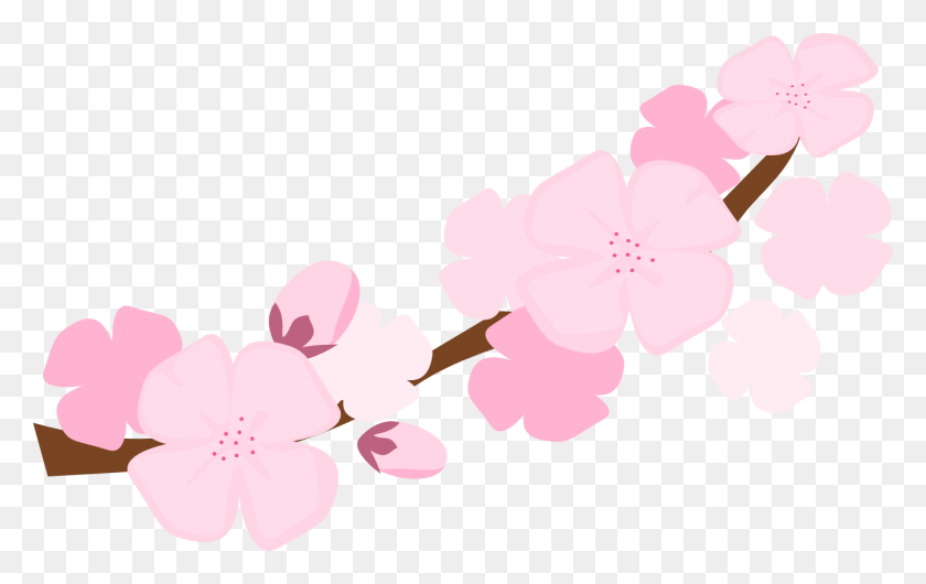 1384x834 Cherry Blossom Clipart - Cherry Clipart PNG
