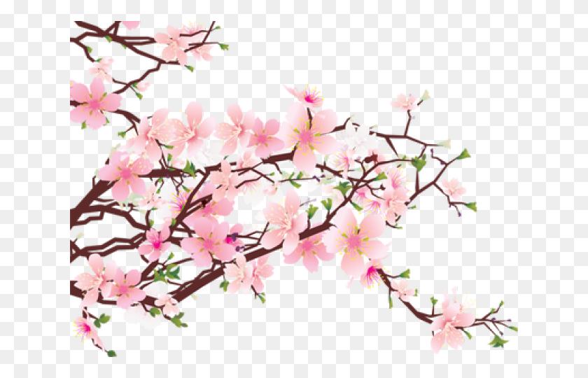 640x480 Cherry Blossom Clipart - Cherry Tree Clipart