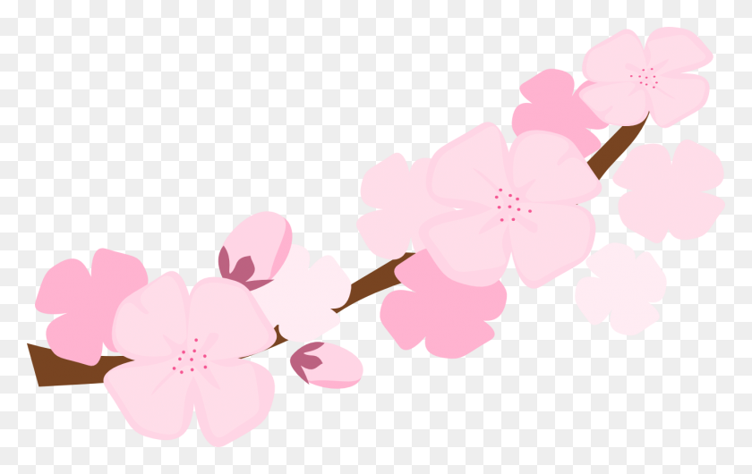 1384x834 Вишни В Цвету Клипарты - Цветок Сакуры Png