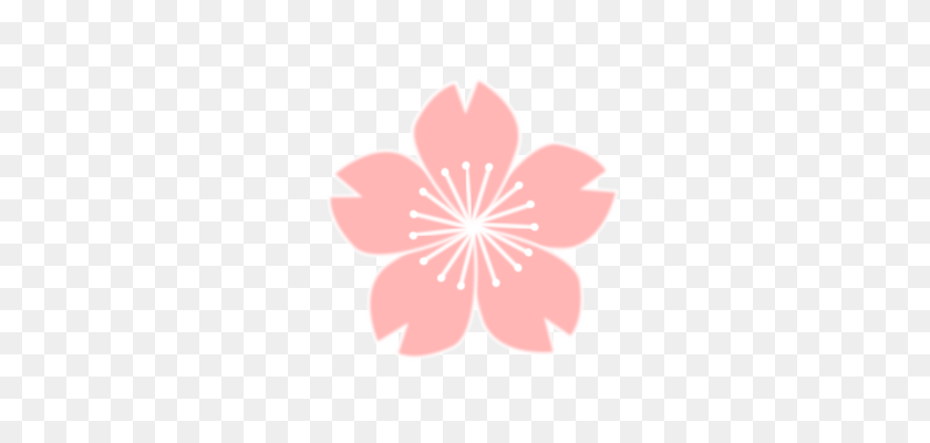 340x340 Cherry Blossom Computer Icons Download - Cherry Blossom Petals PNG