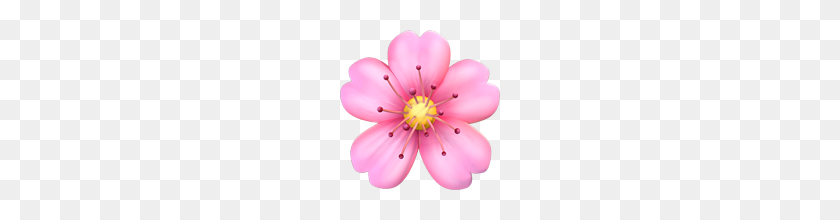 160x160 Flor De Cerezo Emoji En Apple Ios - Cerezo Png