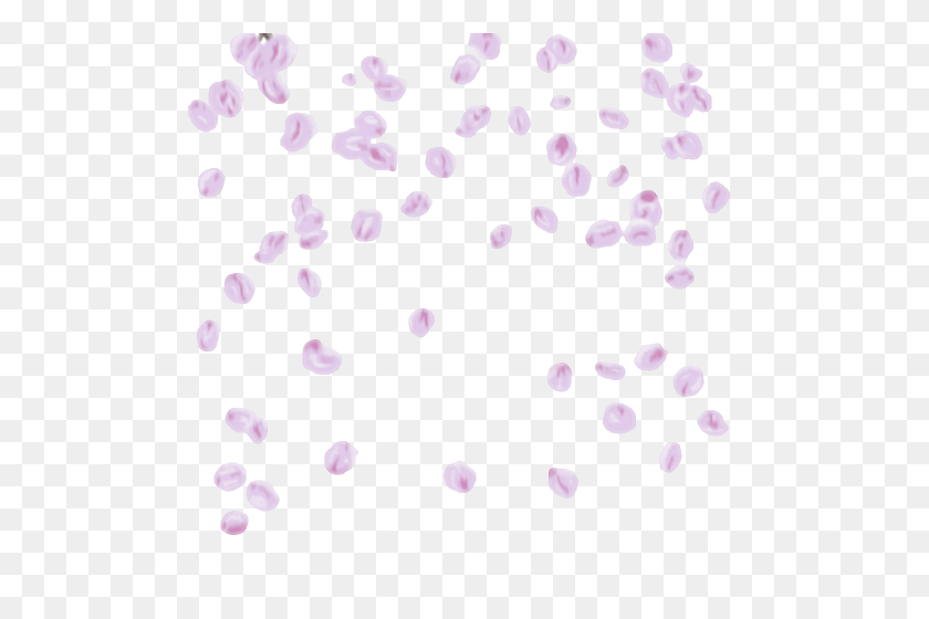 500x500 Cherry Blossom Petals Falling Flowers,plants Etc Cherry - Sakura Petals PNG