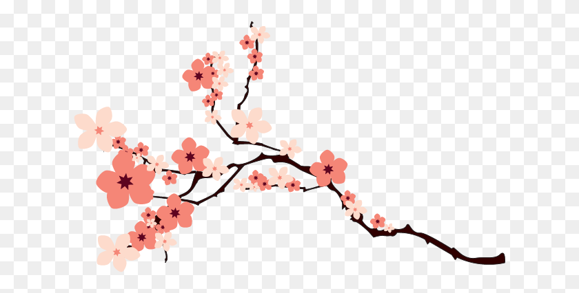 626x366 Cherry Blossom Png Images - Japanese Cherry Blossom Clip Art