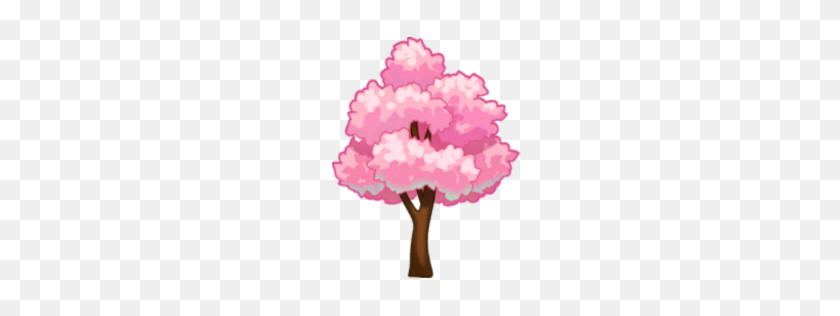 256x256 Cherry Blossom Tree - Cherry Blossom Tree PNG