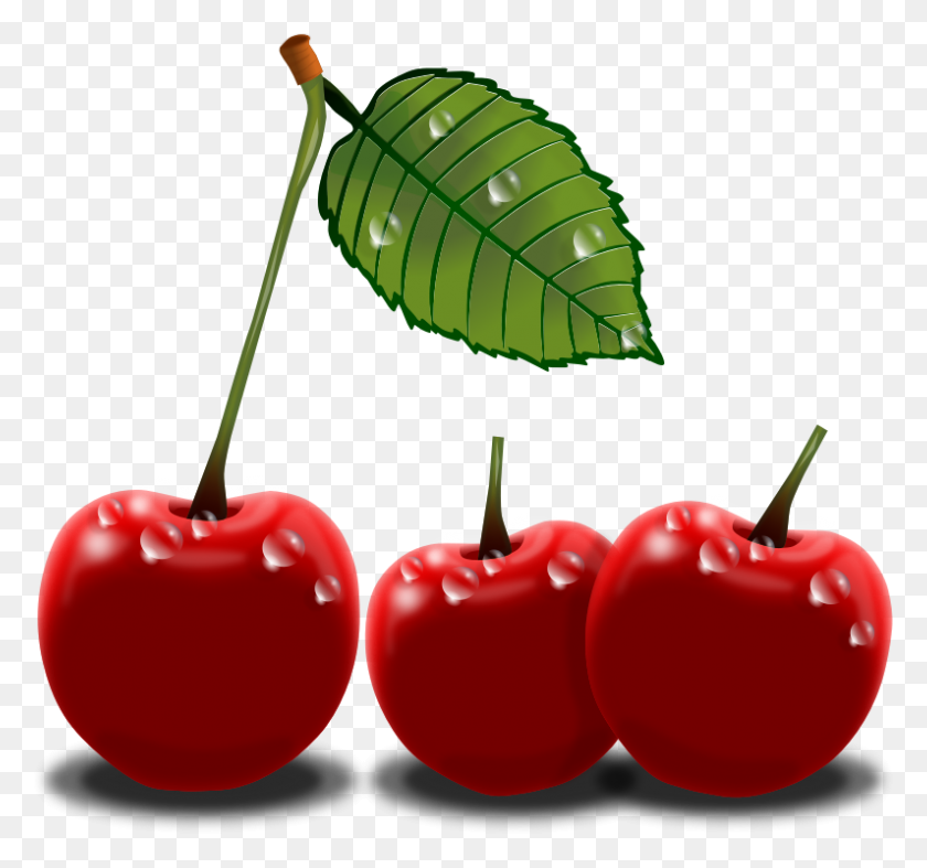 795x741 Cherry Clipart Fruit Clipart Photo - Chocolate Clipart Blanco Y Negro