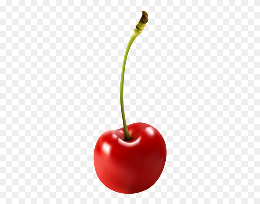 243x600 Cherry Free Png Clip Art Image Clipart Fruits And Vegetables - Plant Stem Clipart