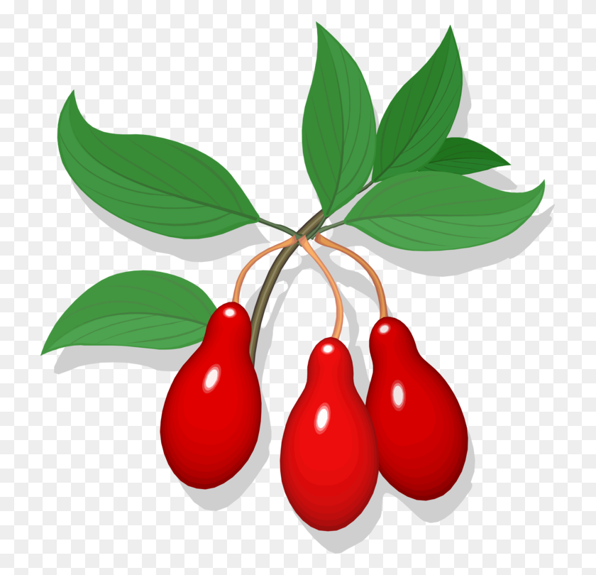 725x750 Cherry Line Art Fruit Auglis Drawing - Huckleberry Clipart