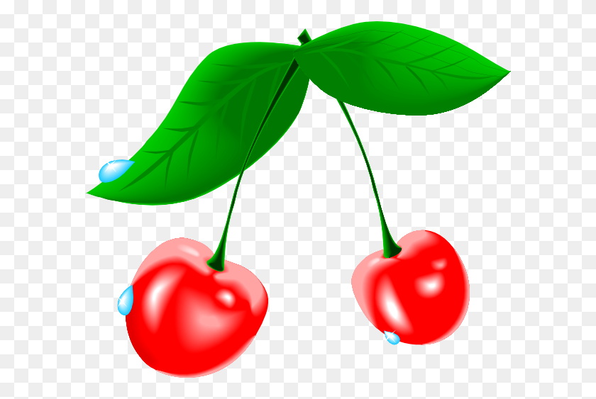 600x503 Cherry Png Clip Arts For Web - Cherry Clipart