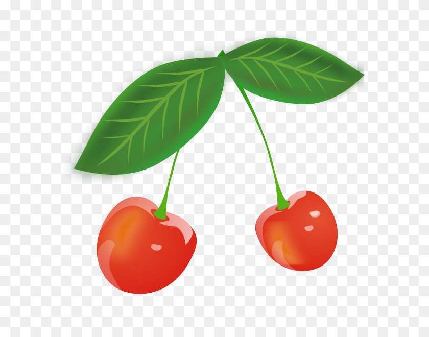 600x600 Cherry Png Clip Arts For Web - Cherry PNG