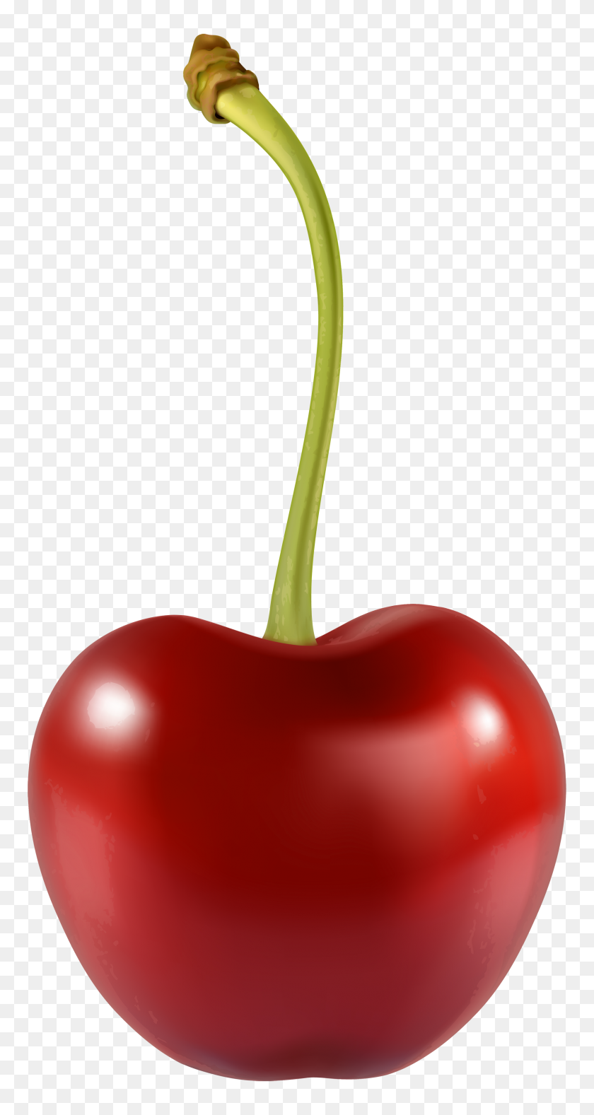 1799x3500 Cherry Png Clipart - Fruits And Vegetables PNG