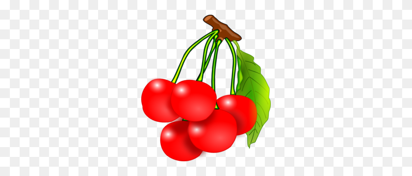 264x299 Cherry Red Clipart - Cherry Clipart Black And White