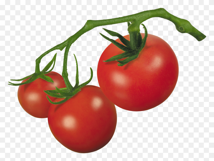 3841x2819 Tomate Cherry Clipart De Planta De Berenjena - Imágenes Prediseñadas De Berenjena